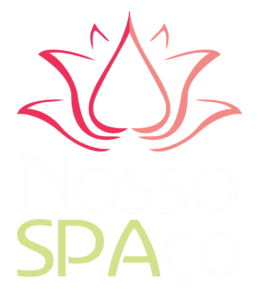 logo nosso spaco br